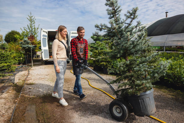 Best Dead Tree Removal  in Harrisonburg, VA